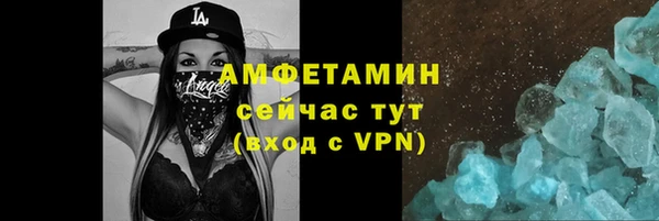 шишки Аркадак