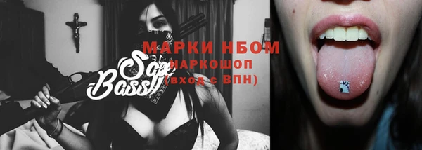 шишки Аркадак