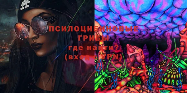 шишки Аркадак