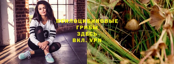 ALPHA PVP Армянск