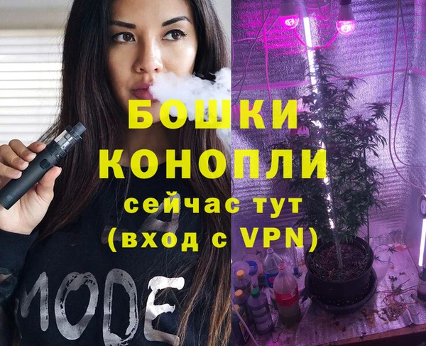 шишки Аркадак