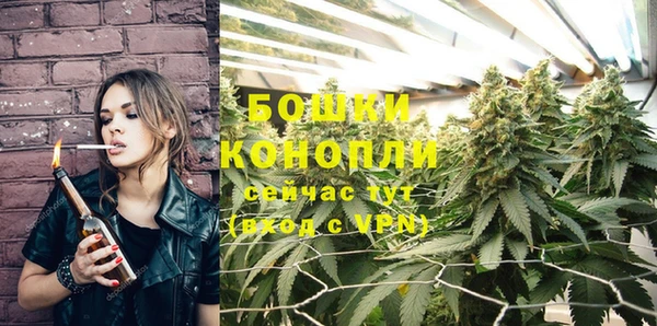 шишки Аркадак