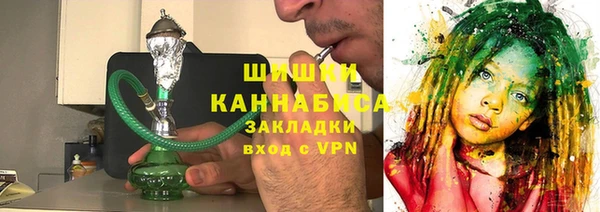 шишки Аркадак