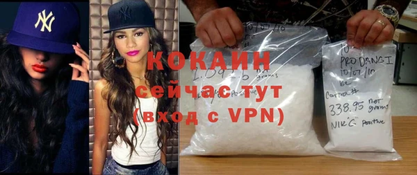 шишки Аркадак